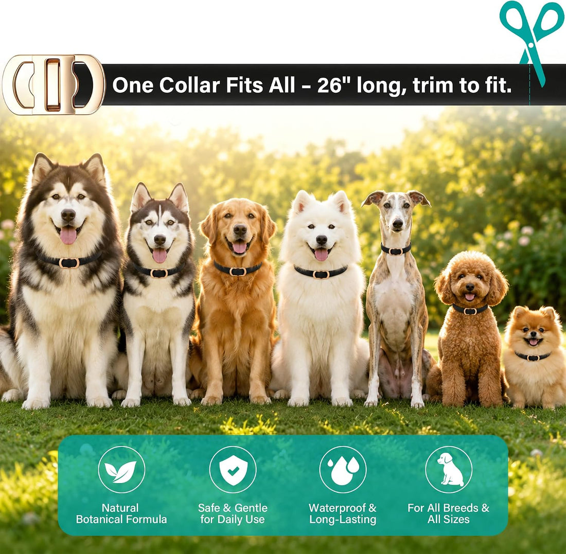 6 Packs Flea & Tick Collar for Dogs