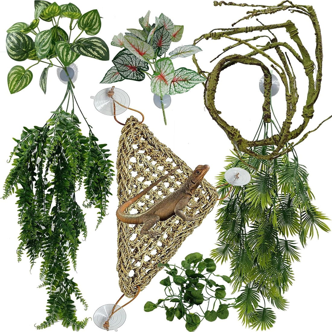 Reptile Plants for Bearded Dragon Tank Accessories