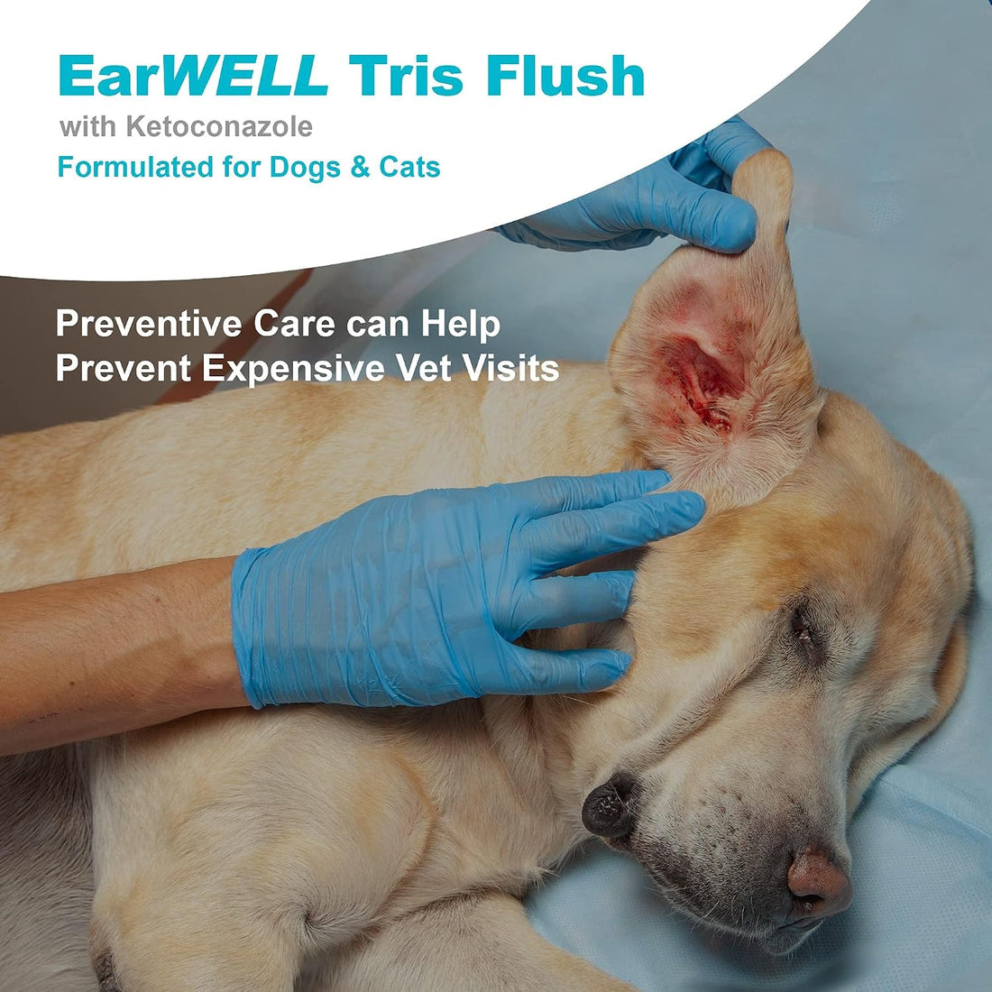 VetWELL Dog Ear Cleaner Solution & Infection Treatment for Dogs & Cats
