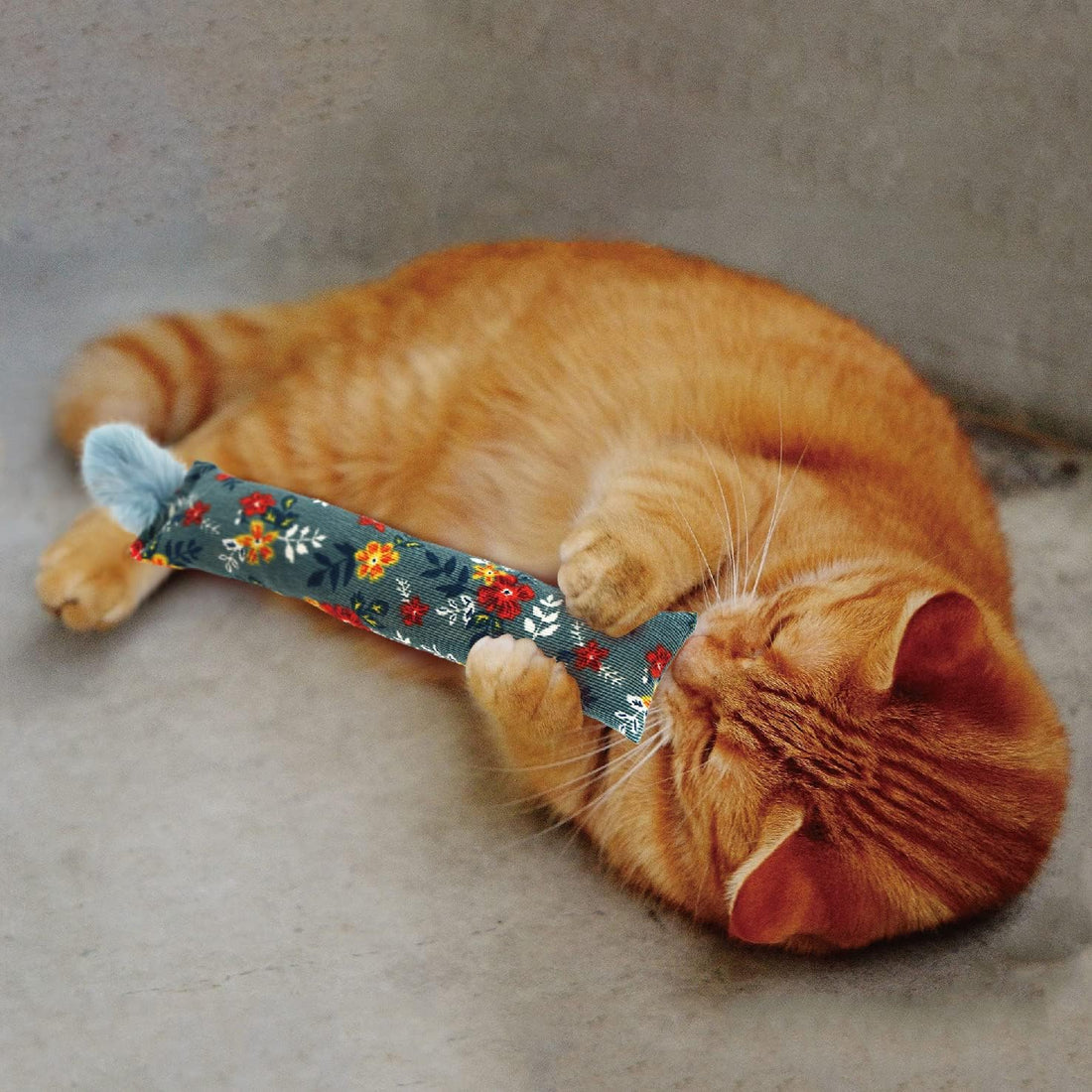 Jumpaws 2 Pack Natural Interactive Catnip & Silvervine Cat Kicker