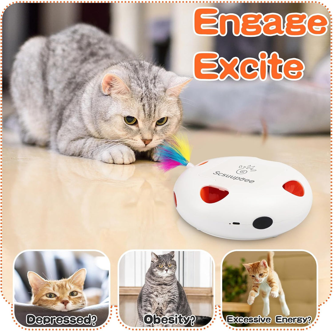 Rechargeable Interactive Cat Toy