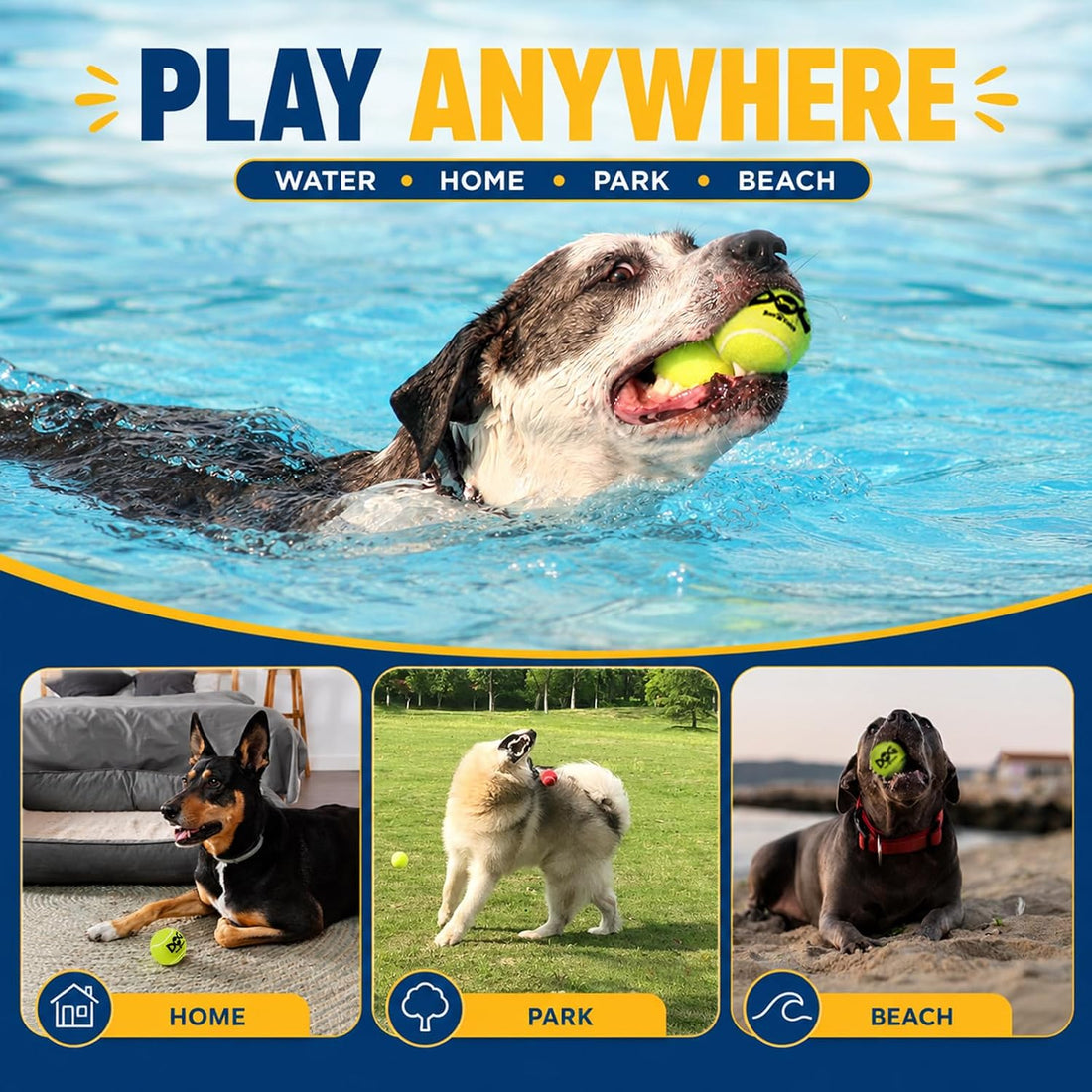 INSUM Tennis Balls for Dogs - 12 Pack 2.5'' Durable Non-Toxic Outdoor