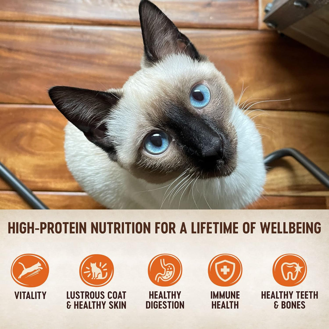 Wellness CORE Tiny Tasters Pate Variety Pack Adult Wet Cat Food
