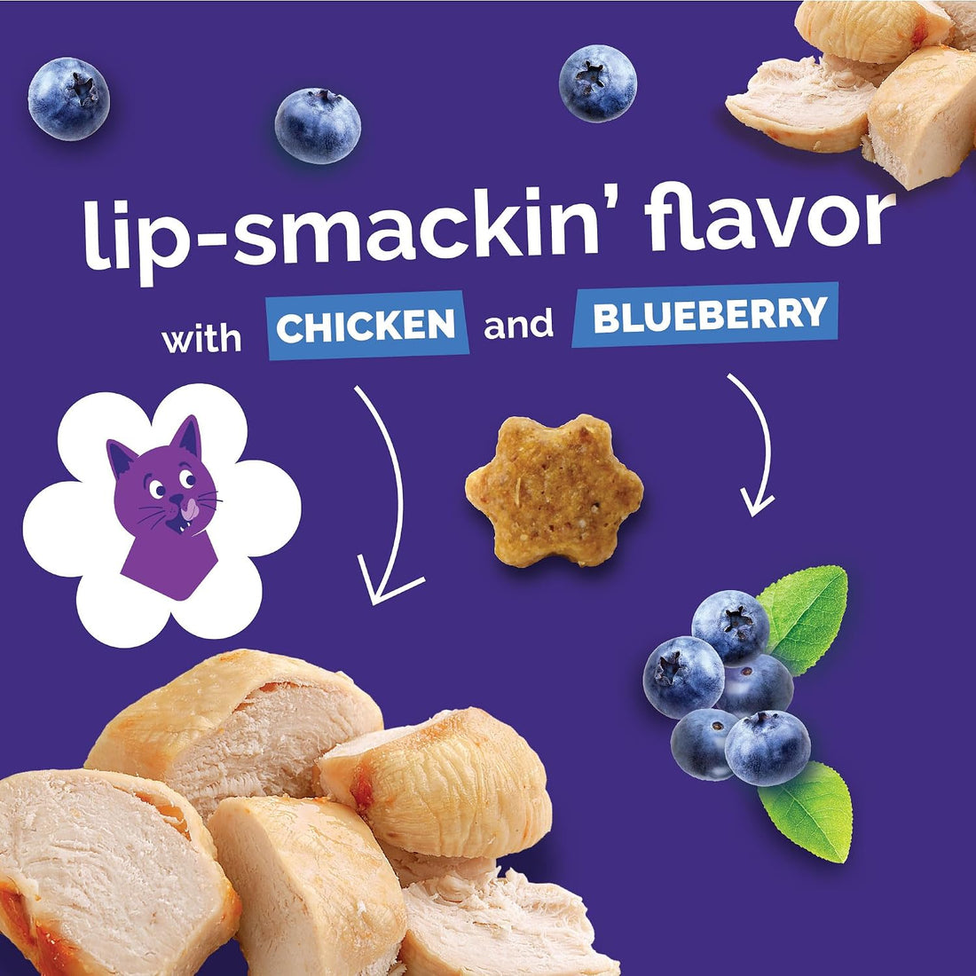 Fruitables Cat Treats - Crunchy Treats for Cats