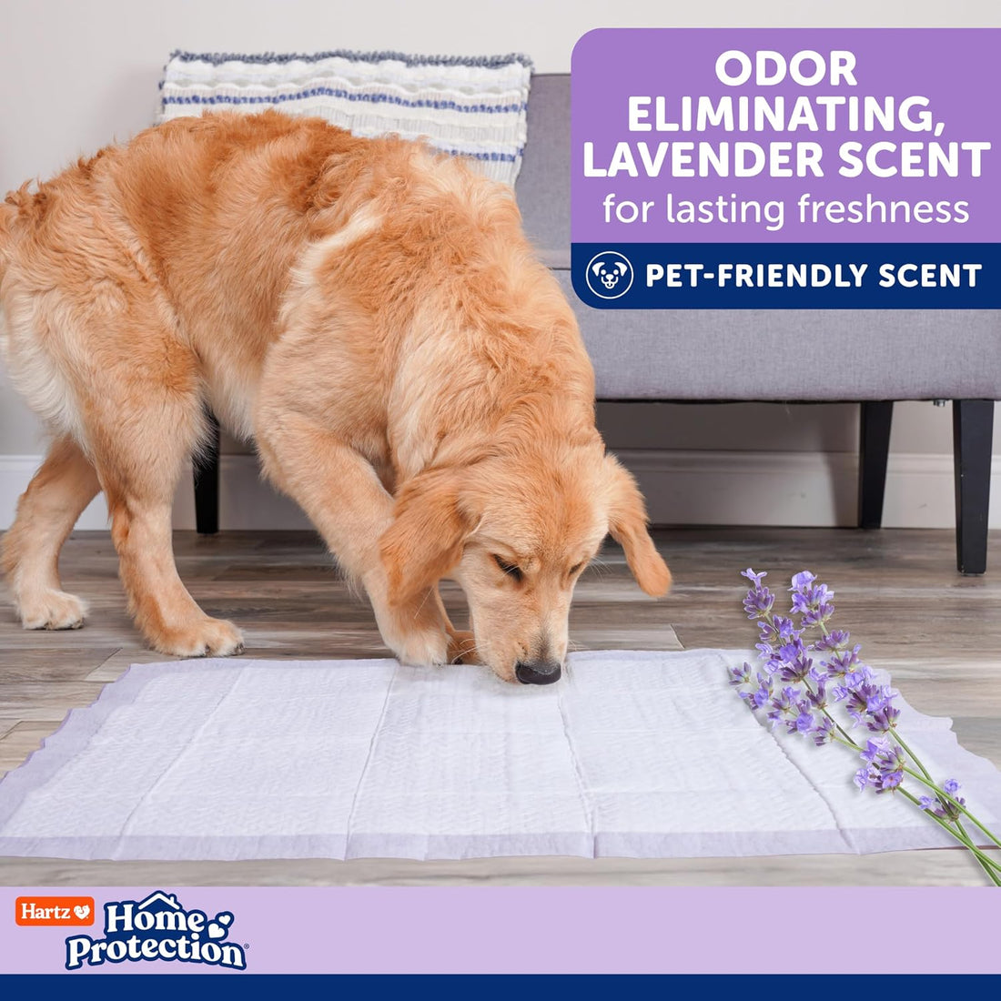 Hartz Home Protection Super Absorbent Odor Eliminating Lavender