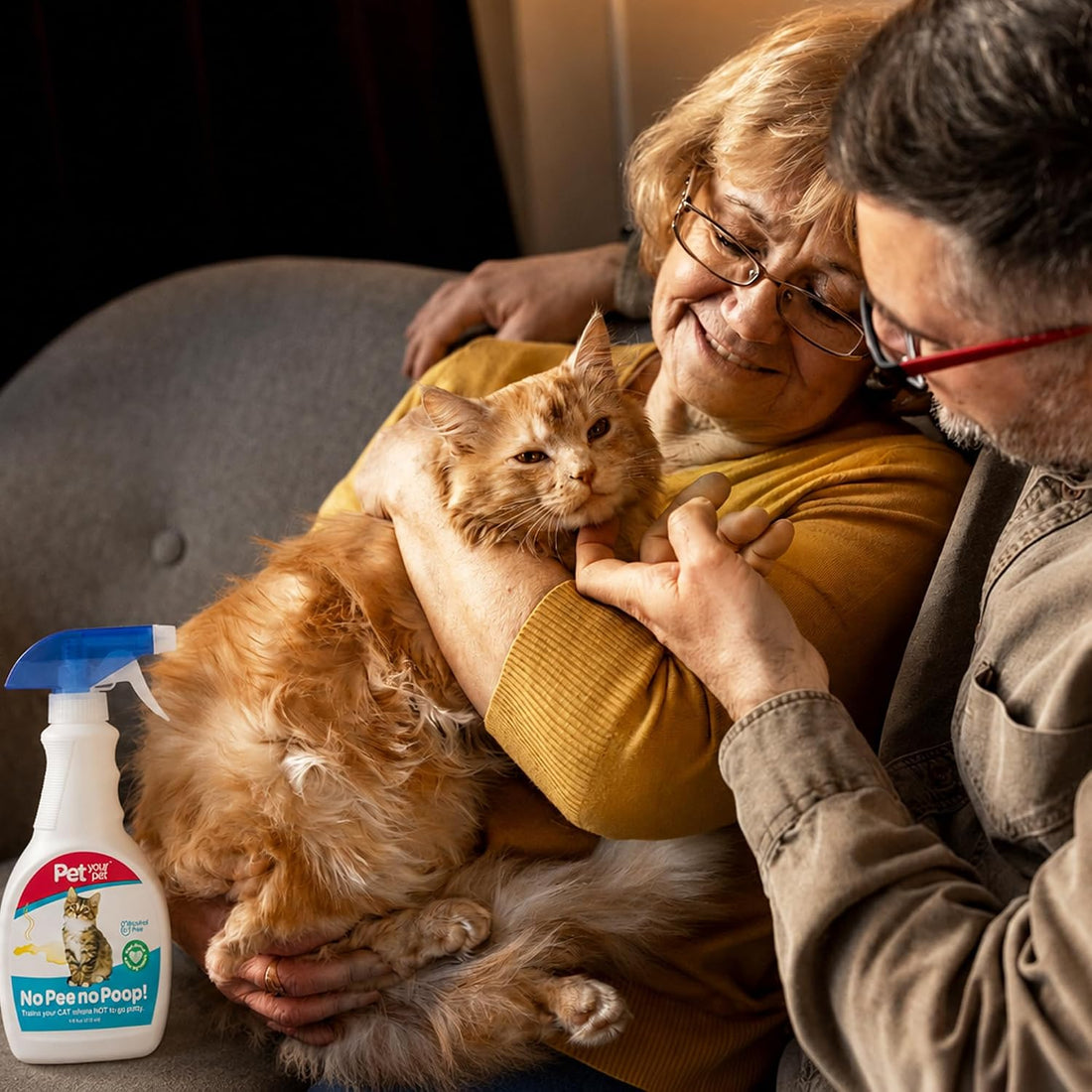 Cat Potty Training Spray No Pee No Poop, 16 Fl Oz