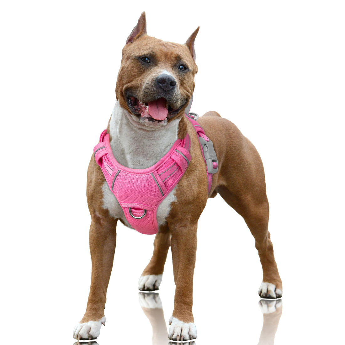 BARKBAY No Pull Dog Harness Large Reflective Dog Harness with Front