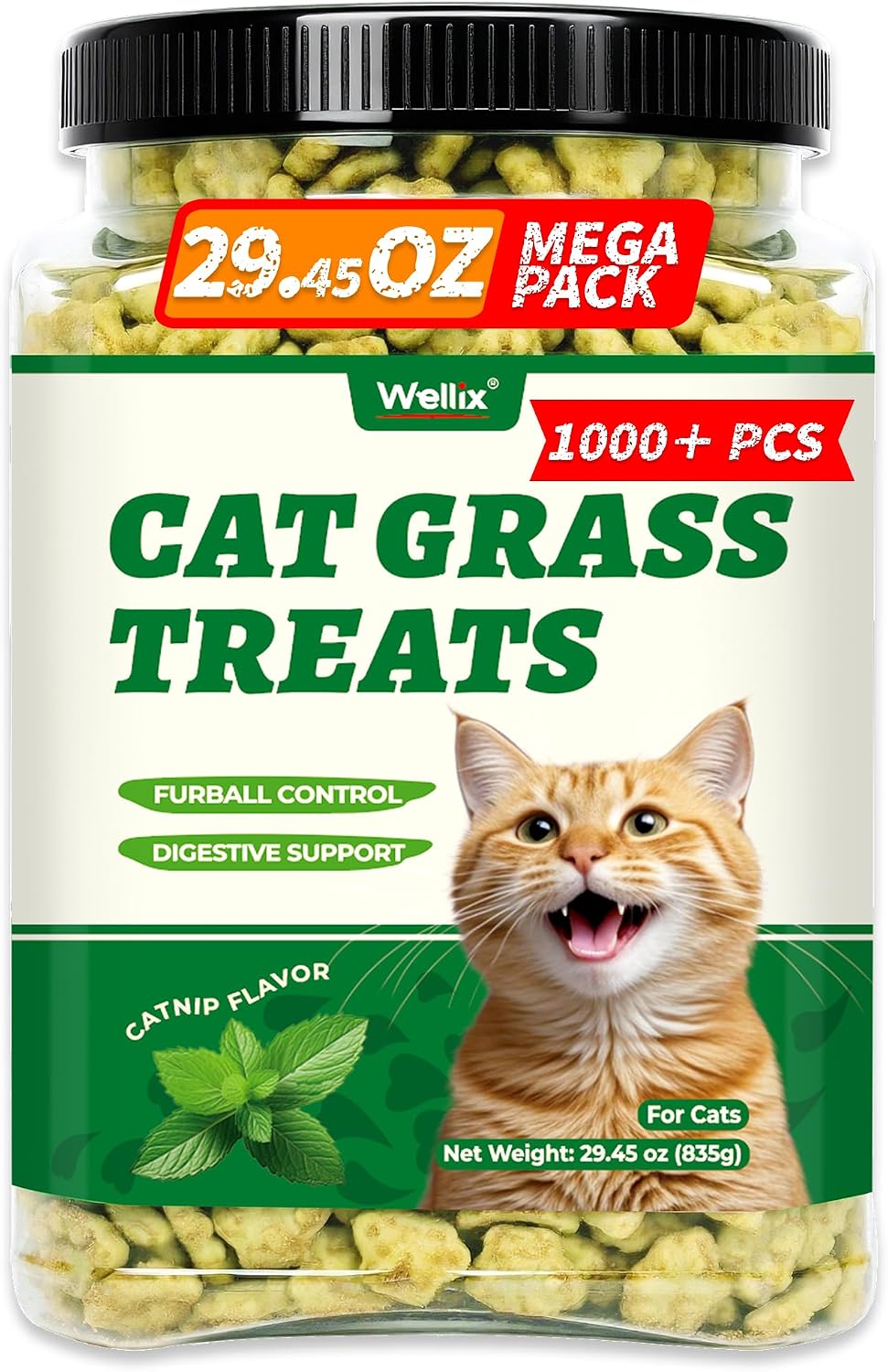 Wellix 13.05 oz Catnip Treats for Cats for Digestive Support