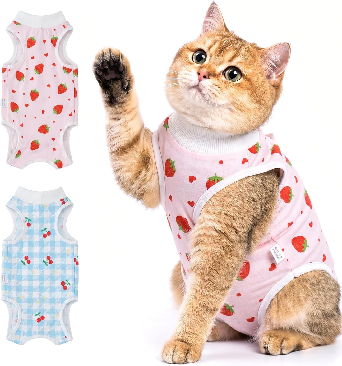 Avont 2-Pack Cat Recovery Suit for Spay Healing -Space M 2026 New