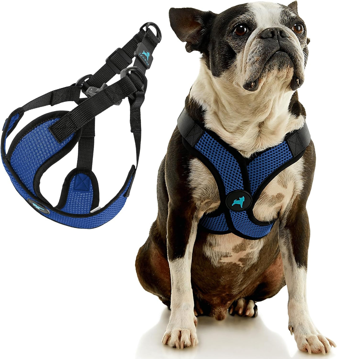 Gooby Comfort X Step-in Lite Harness, Choke-Free, Blue, Medium