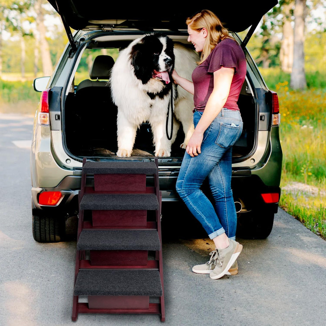 BRIKY Wooden Dog Stairs/Steps, Foldable 4 Steps