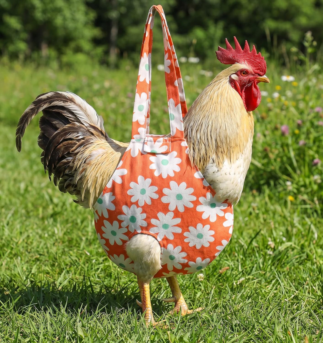 Chicken Purse, Canvas Chicken Carrier Bag (Orange)