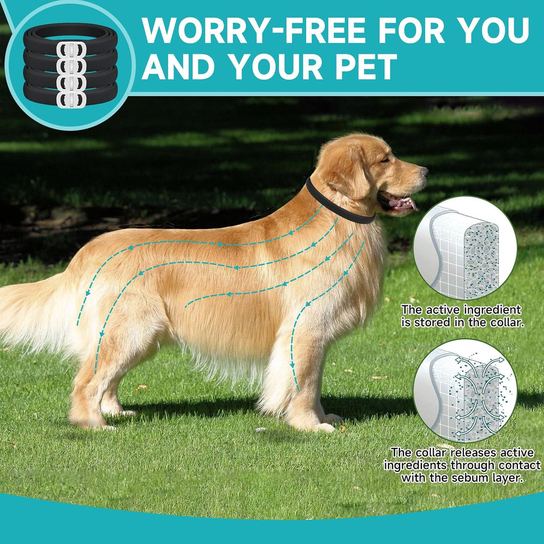 Flea and Tick Prevention for Dogs, 4-Pack Flea Collars