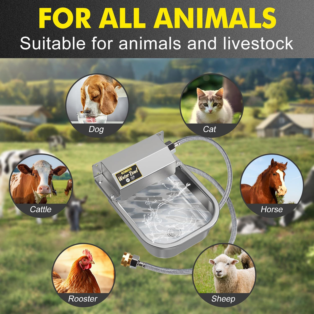 Automatic Water Dispenser for Dogs