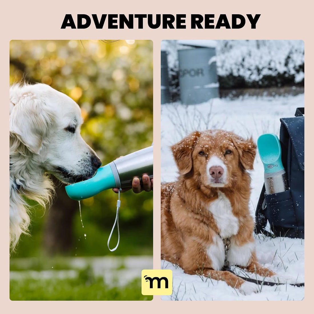 MalsiPree Leak Proof Stainless Steel Portable Dog Water Bottle - 24 oz