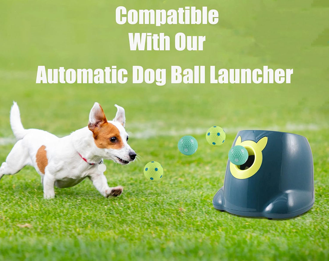 Crafts Central 6 PCS Latex Balls for Small and Medium Size Dogs