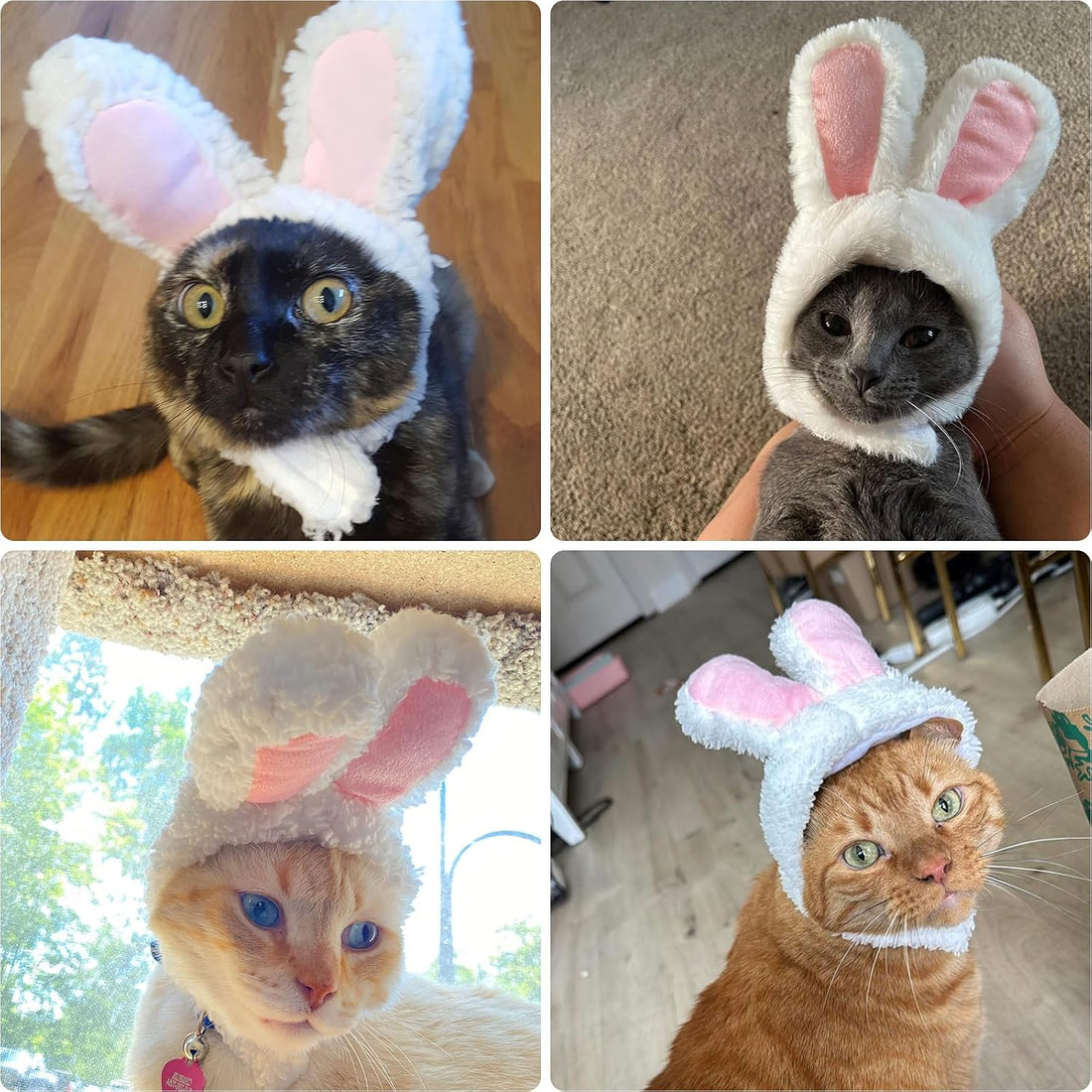 Cat Bunny Rabbit Ears Hat Costumes
