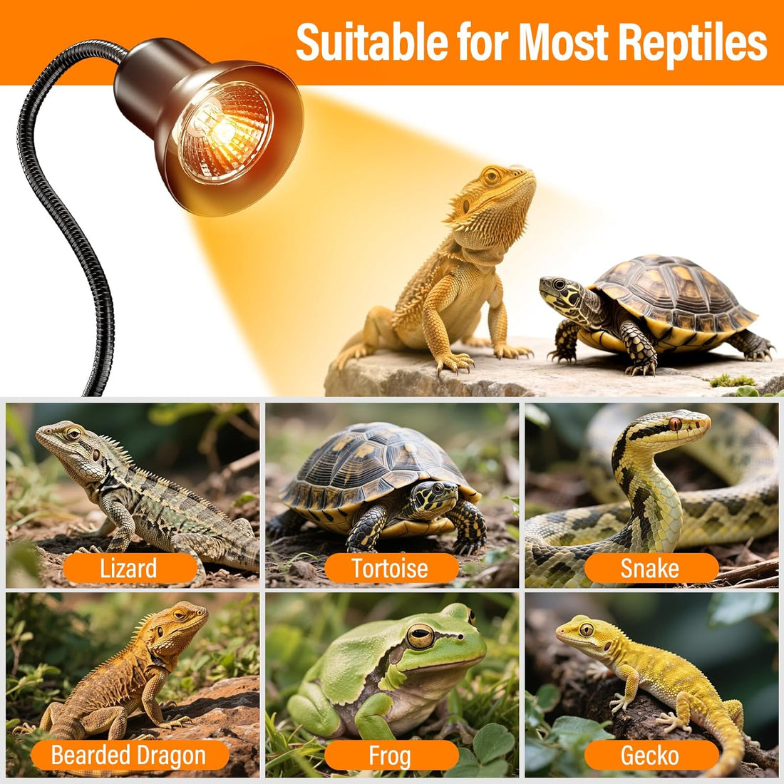 TFNN Reptile Heat Lamp, Heat Lamp with Clamp