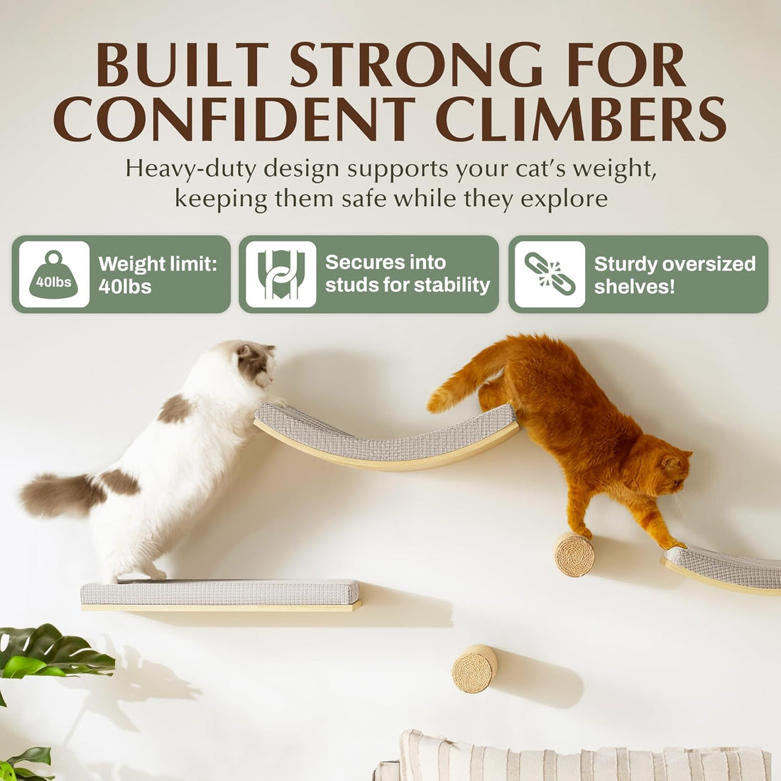 Extra Large 23.6”x12.6” CALLICO HAVEN- Stylish Cat Wall Shelves
