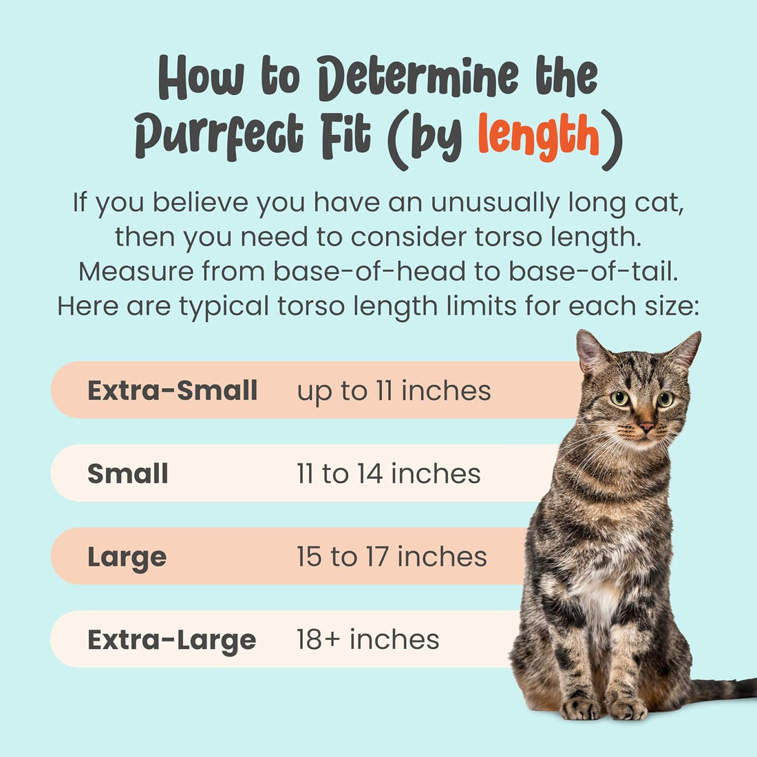 Cat-in-the-Bag Cozy Comfort Carrier