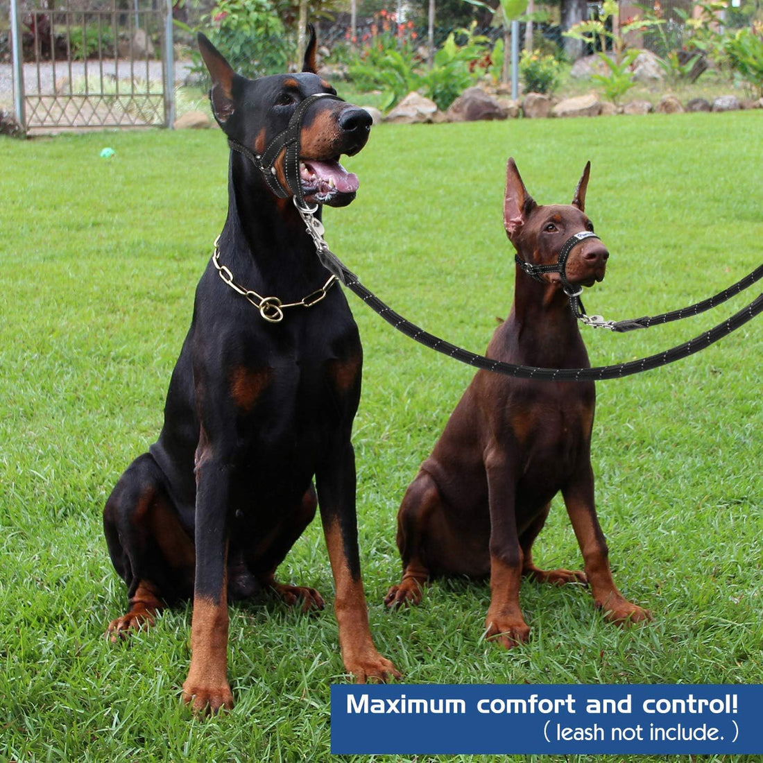 Pawaboo Dog Muzzle, Head Halter Collar for Dog Nylon Reflective