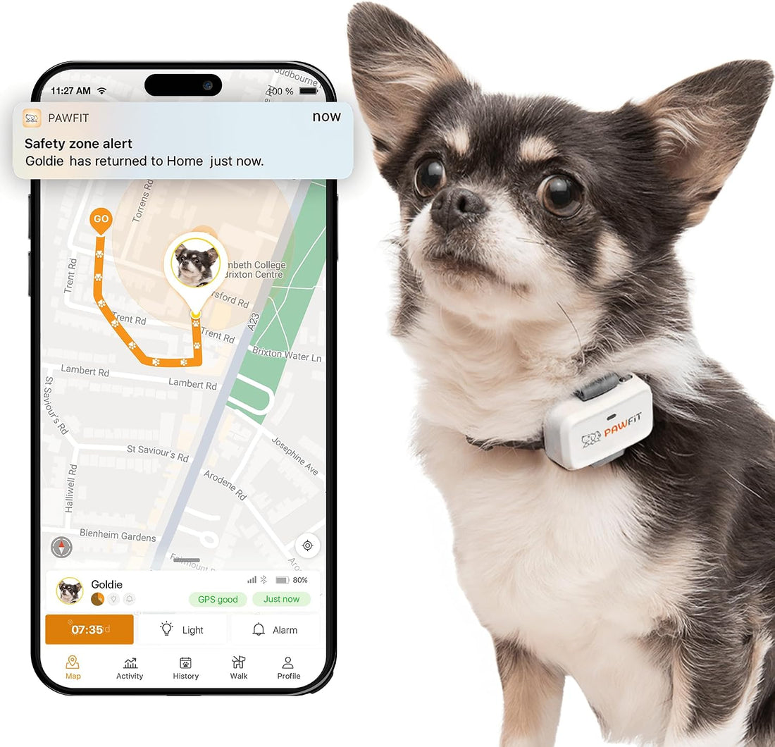 Pawfit Lite 4G GPS Dog Tracker, Live Tracking, Ultra-Light