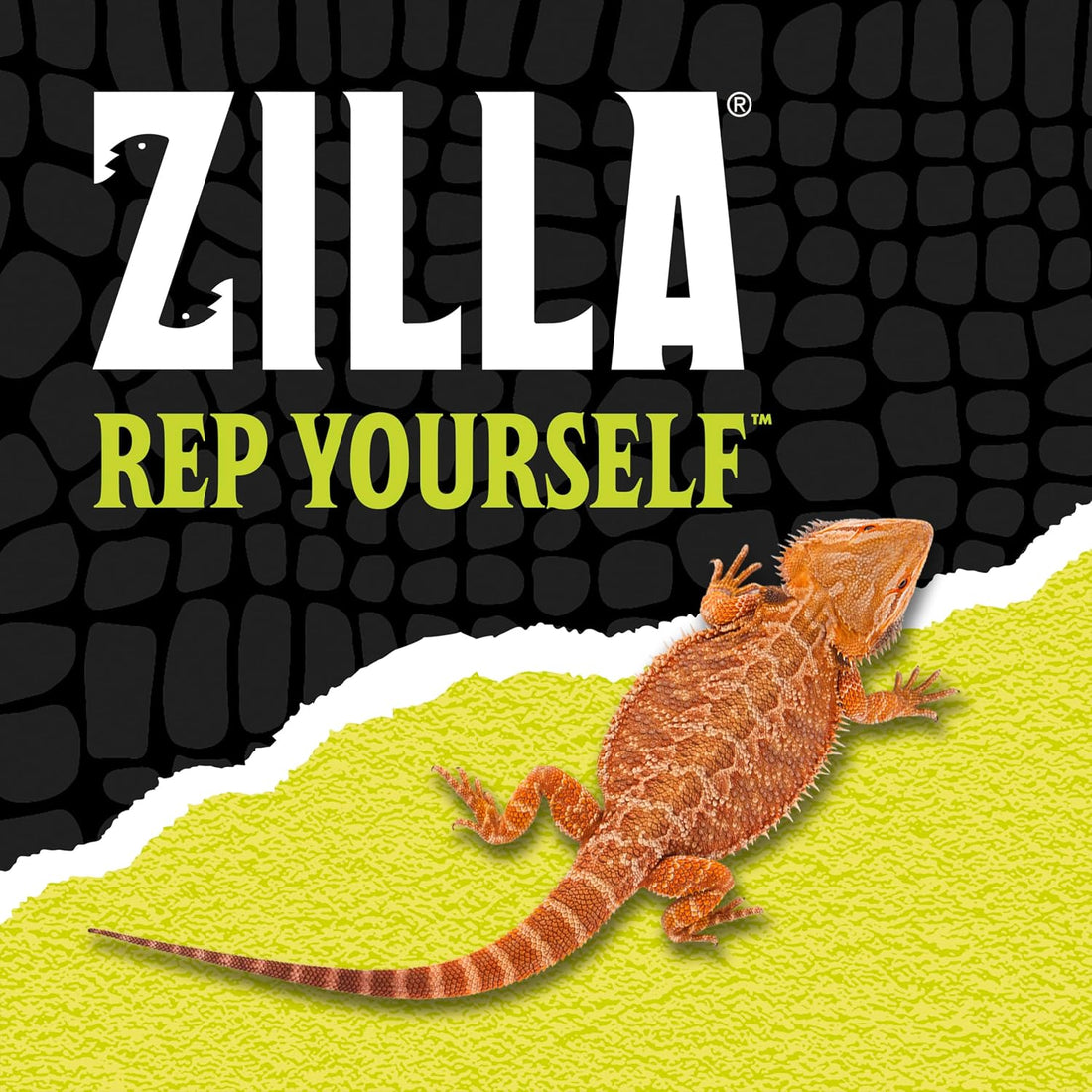 Zilla Herp Hotel Naturalistic Hide, Bearded Dragon Basking Platform