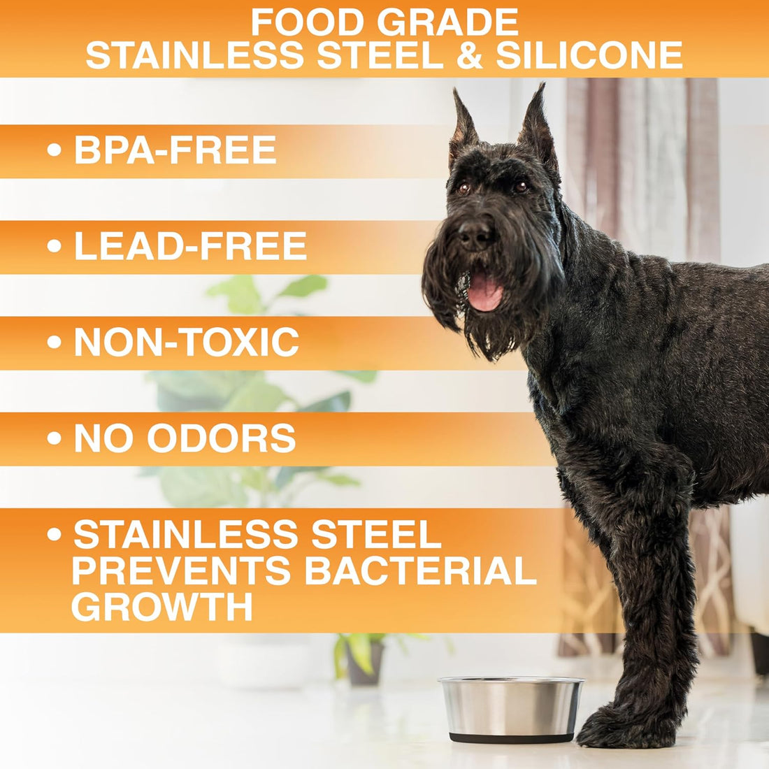 Neater Pet Brands Stainless Steel Dog Bowls with Non-Slip Rubber