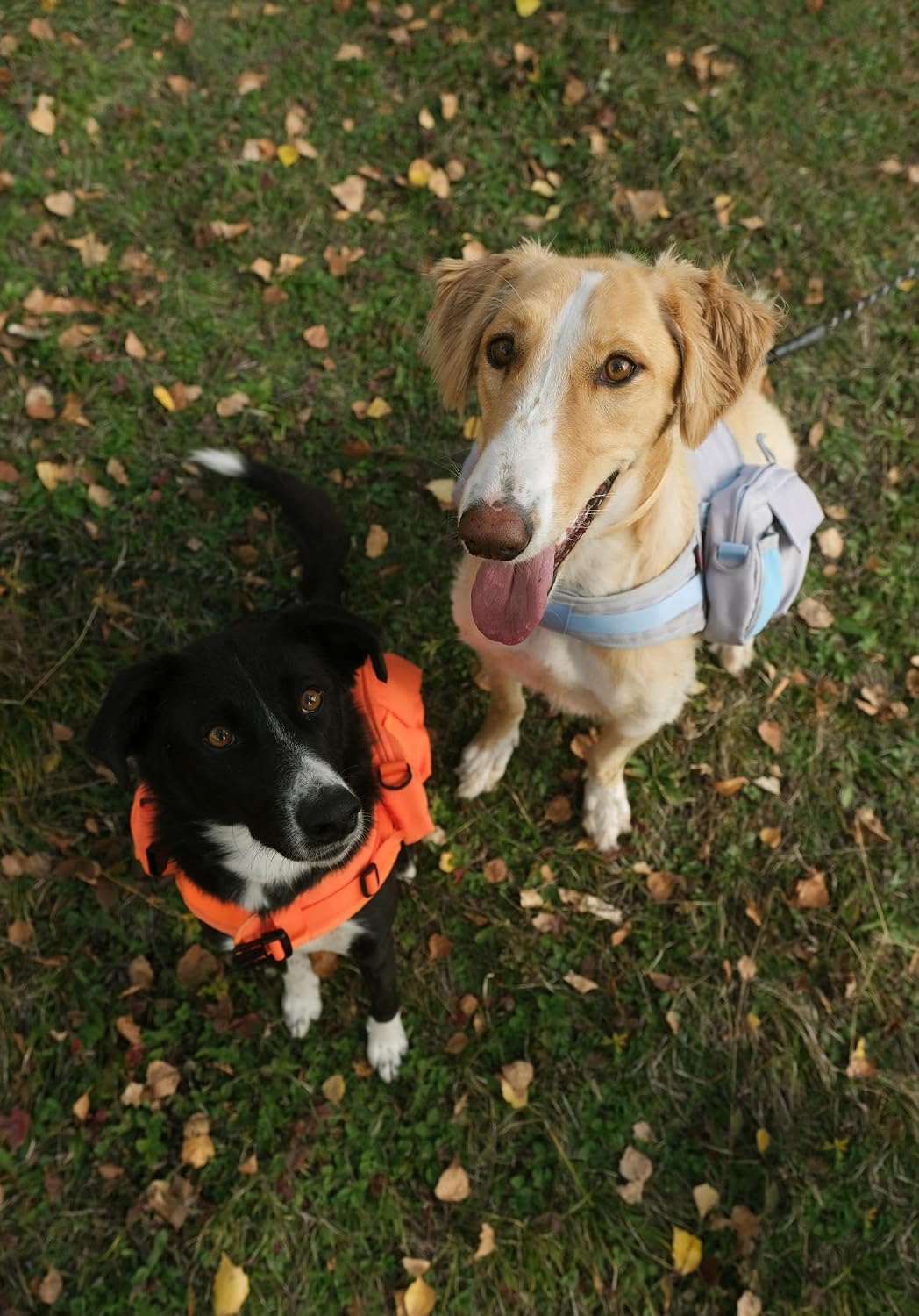 Dog Backpack for Small Medium Large Dogs,Adjustable Dog Backpack