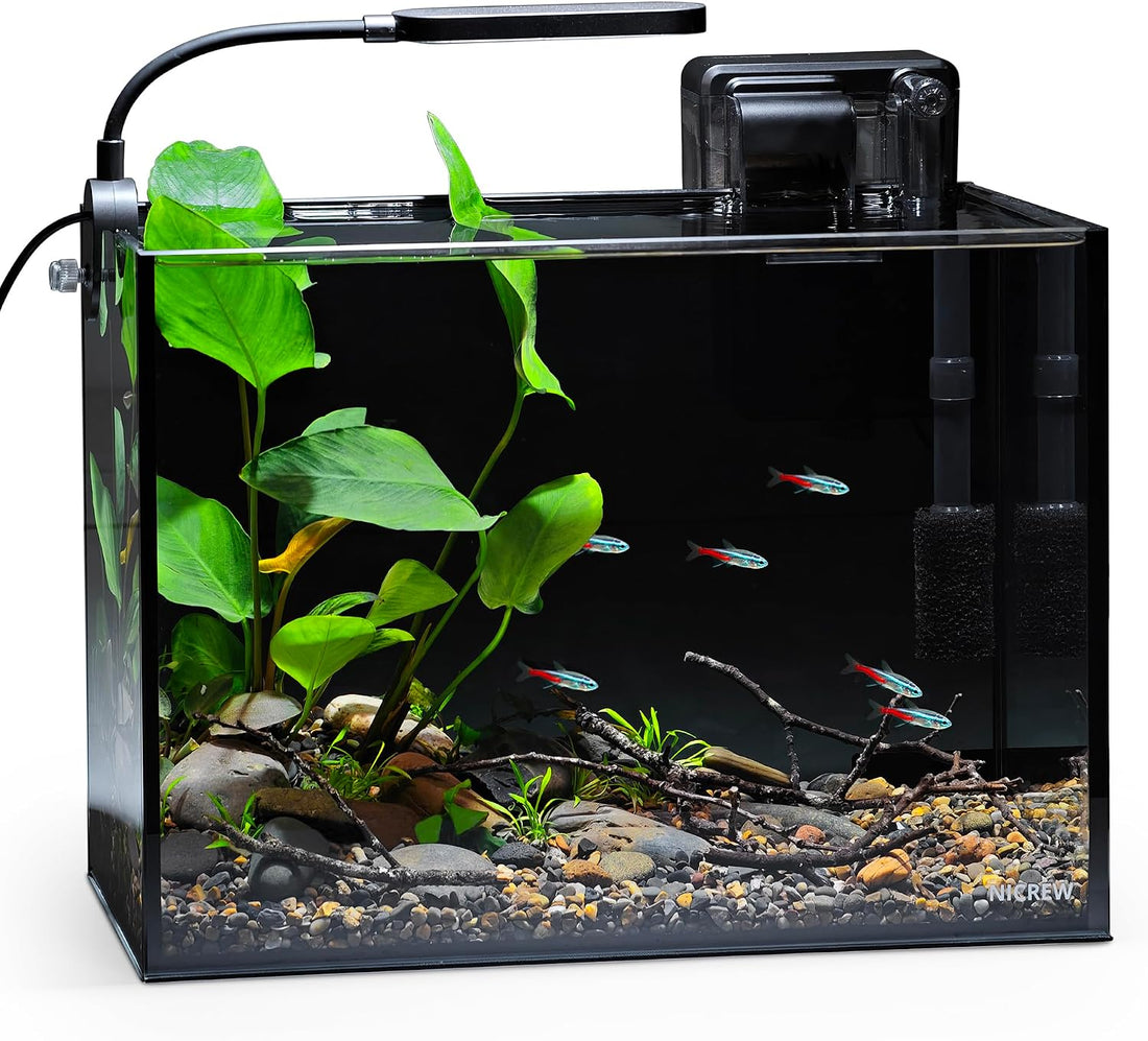 NICREW 2.5 Gallon Nano Nature Aquarium Kit Betta Fish Tank, Complete