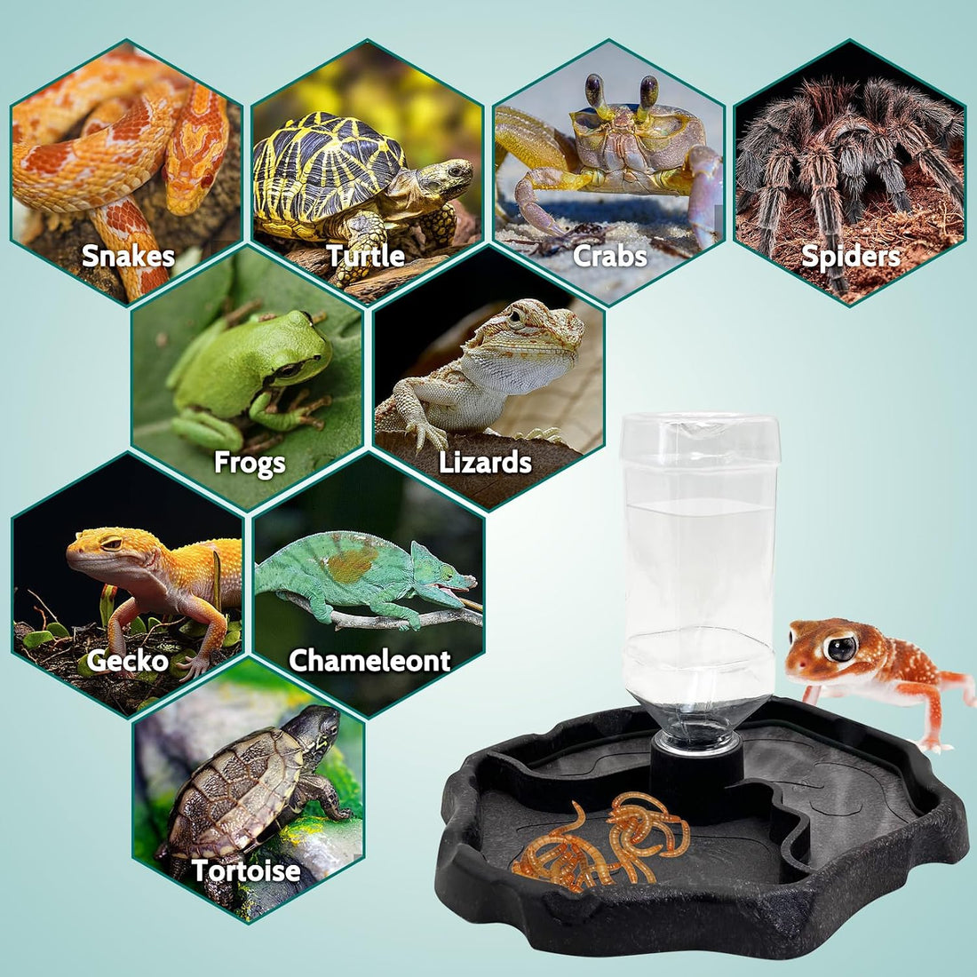 9oz Reptile Water Bottle, Turtle Food and Water Bowl Automatic