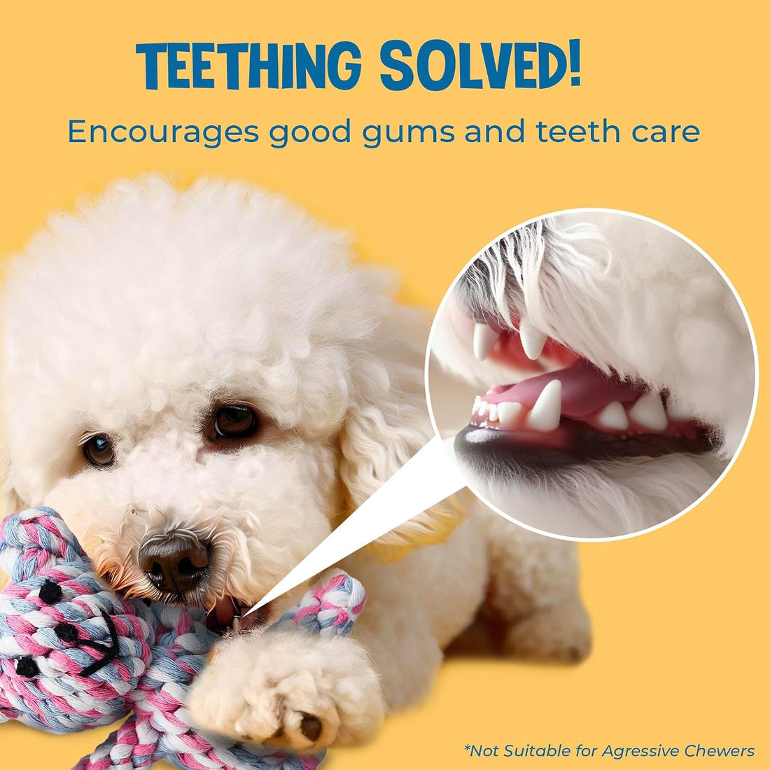 SunGrow Teddy Bear Puppy Teething Toy