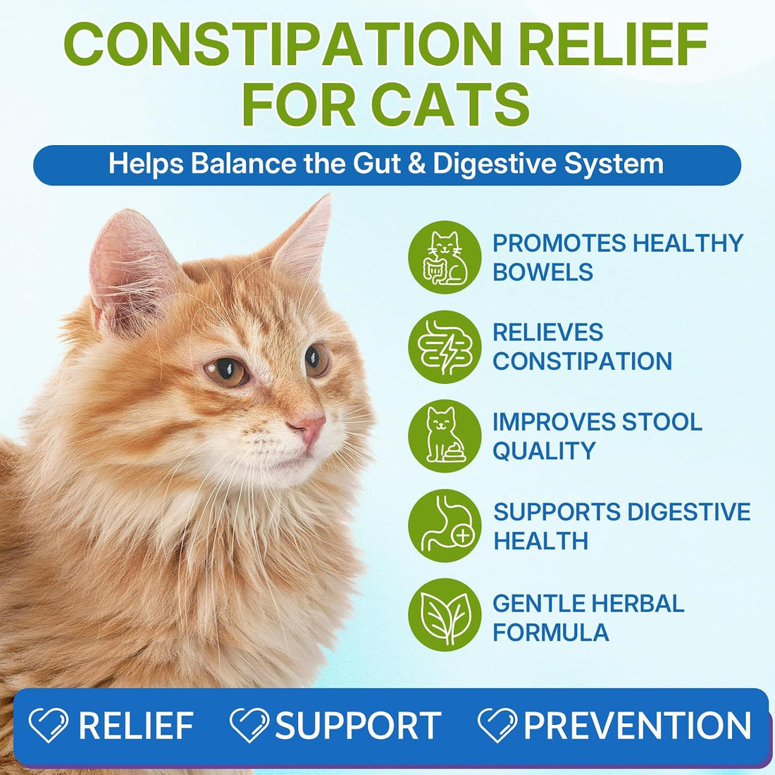 Cat Constipation Relief, Promotes Digestive Chicken Flavor Health 60