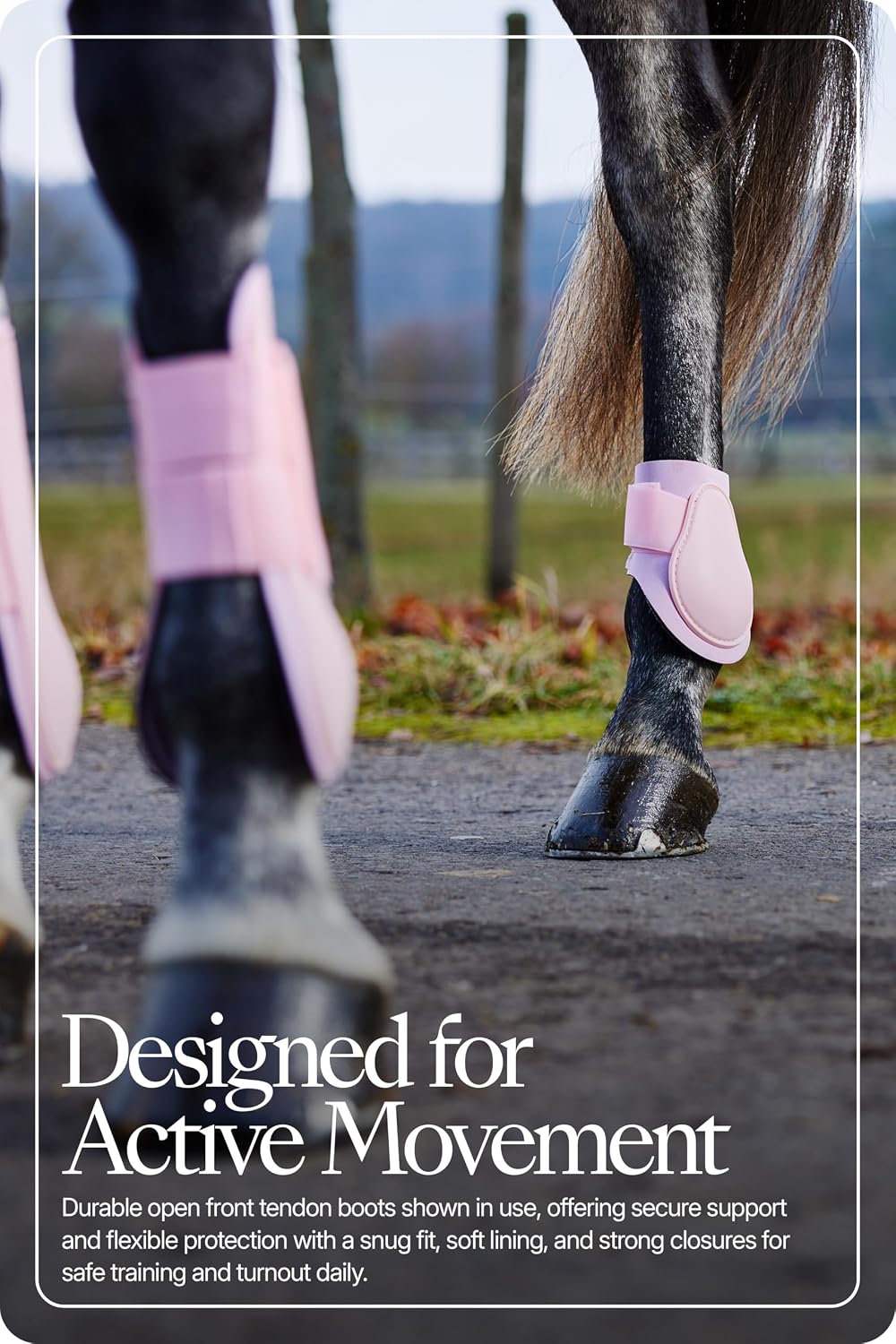 HORZE Chicago Protective Horse Boots