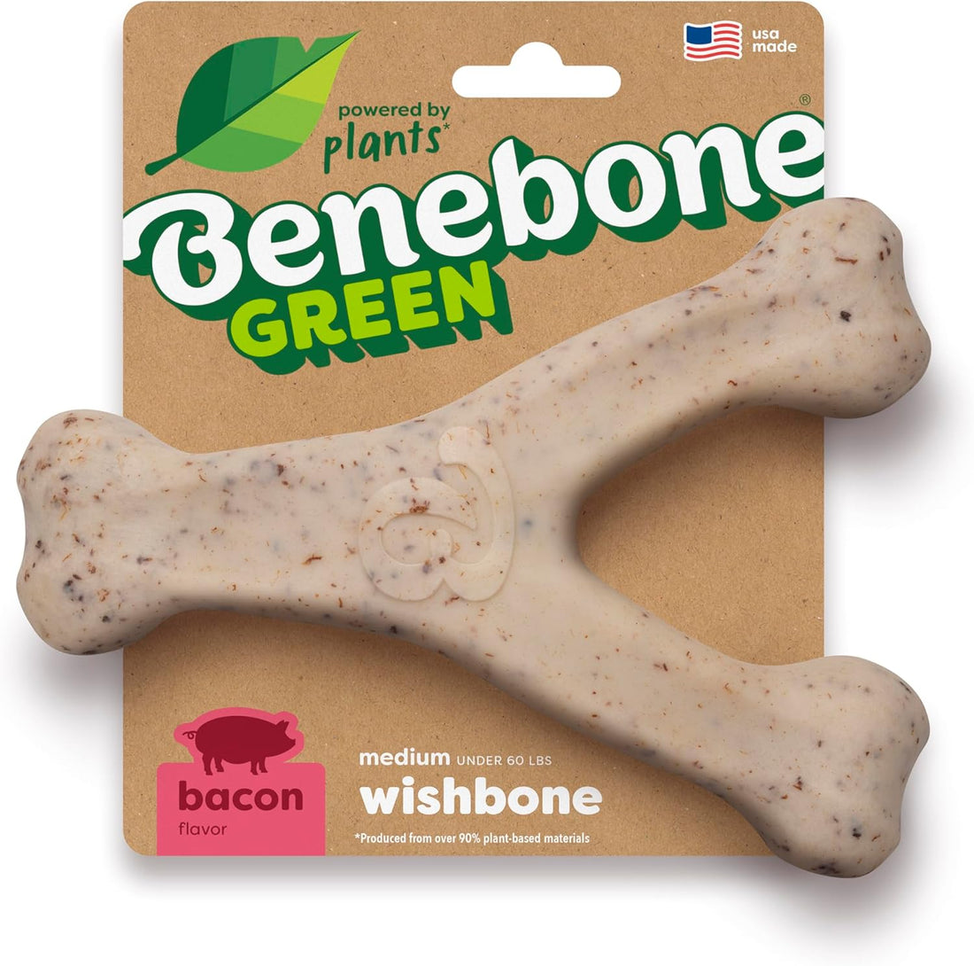Benebone Plant-Based Fishbone Toy for Modest Chewers, Real Salmon