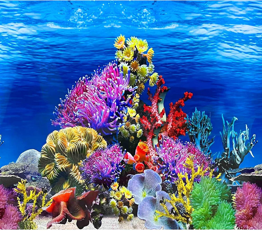 XCNO Aquarium Background Poster Fish Tank Wallpaper, Double-Sided