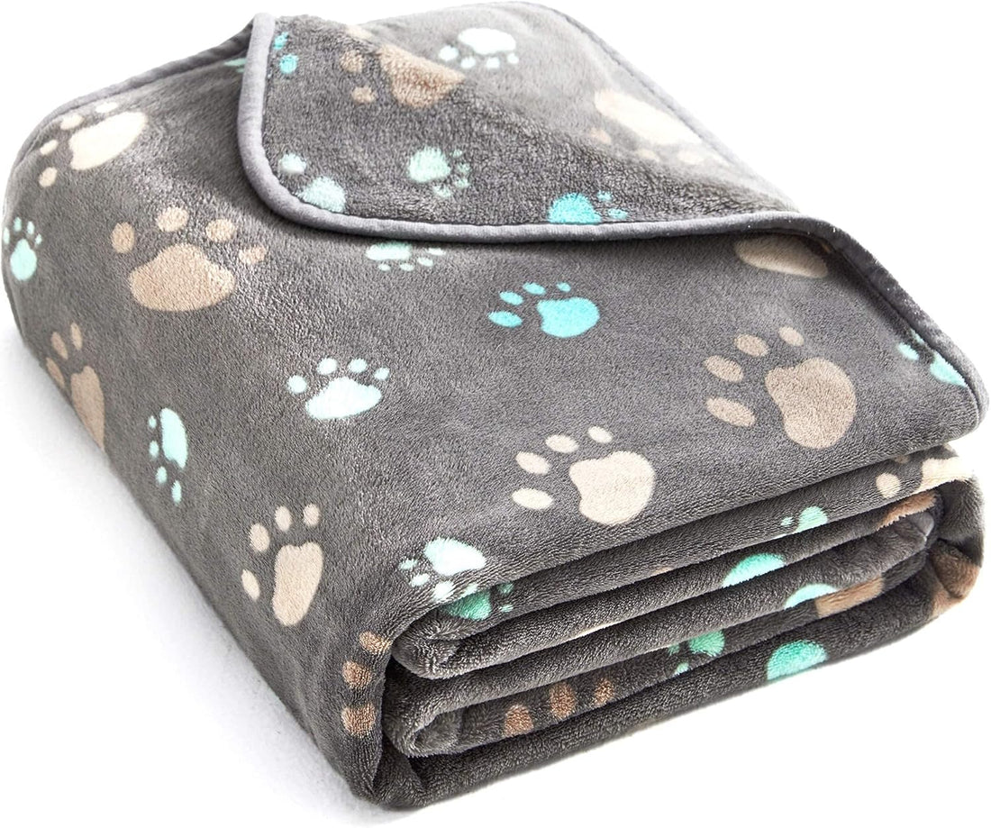 Allisandro 350 GSM Super Soft and Premium Fuzzy Flannel Fleece Pet