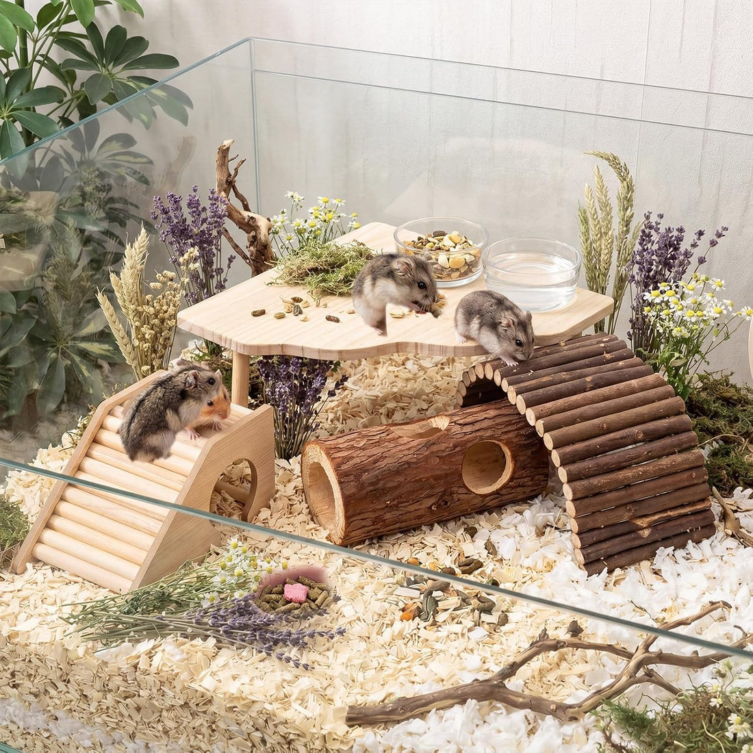 Breezehug 4 Pcs Hamster Cage Accessories Hamster Platform Toy, Hole