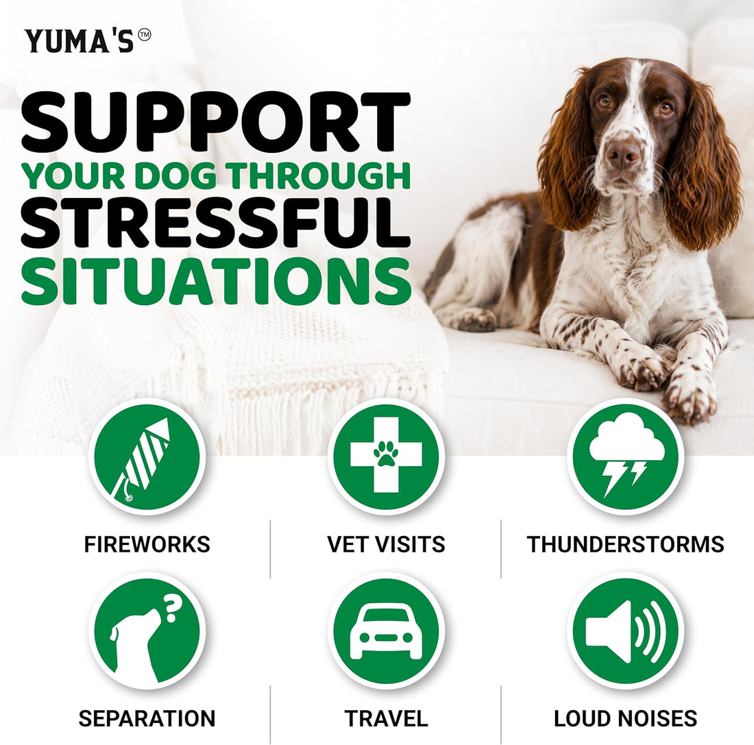 Advanced Calming Chews for Dogs - Hemp Dog Calming Chews