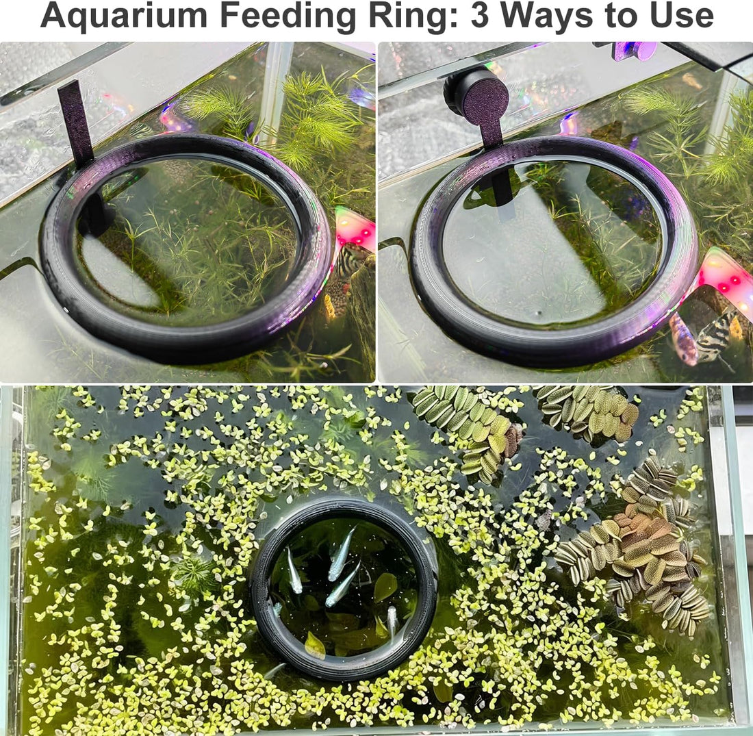 Aquarium Magnetic Fish Feeding Ring Automatic Floating Water Level