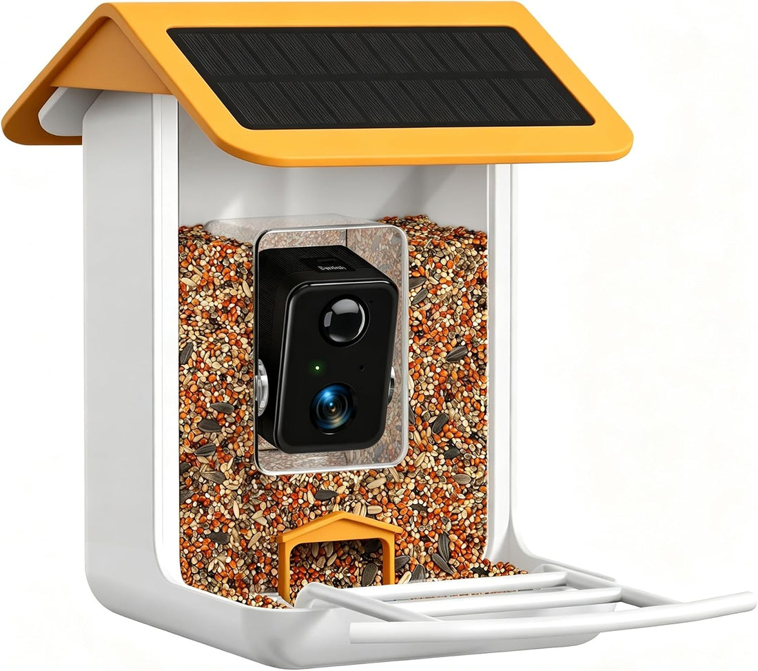 Smart Bird Feeder Camera - Free AI Forever for 1,1000+ Species