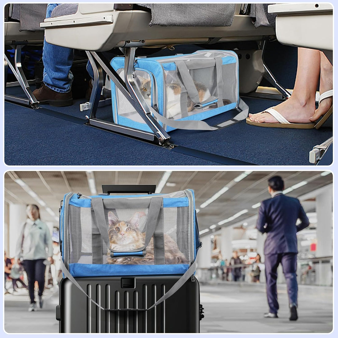 Pet Carrier for Large Cats of 20 Lbs