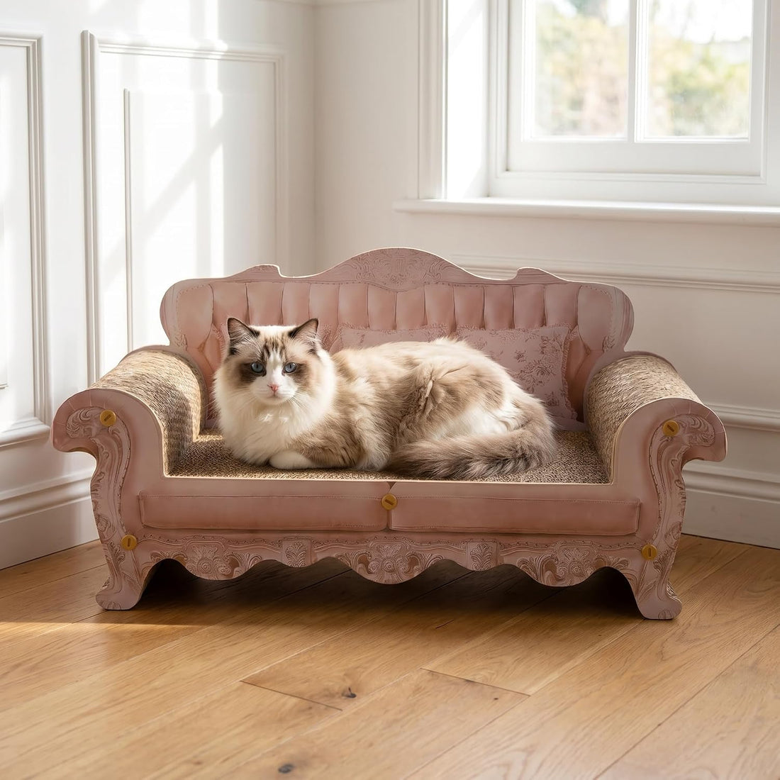 Cat Scratcher Bed Sofa,Extra Large 24 Inch Kitty Couch