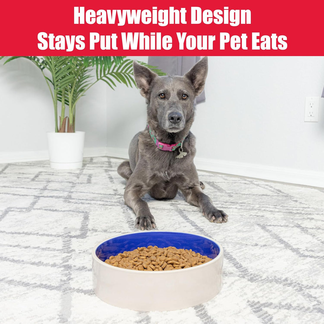 SPOT Standard Crock Dish - Heavy Duty, Non-Slip