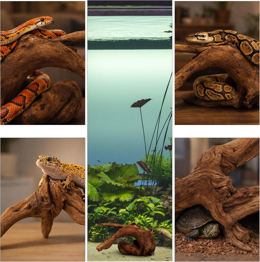 4PCS Driftwood for Aquarium, 1.96''-5.91'' Aquarium Driftwood