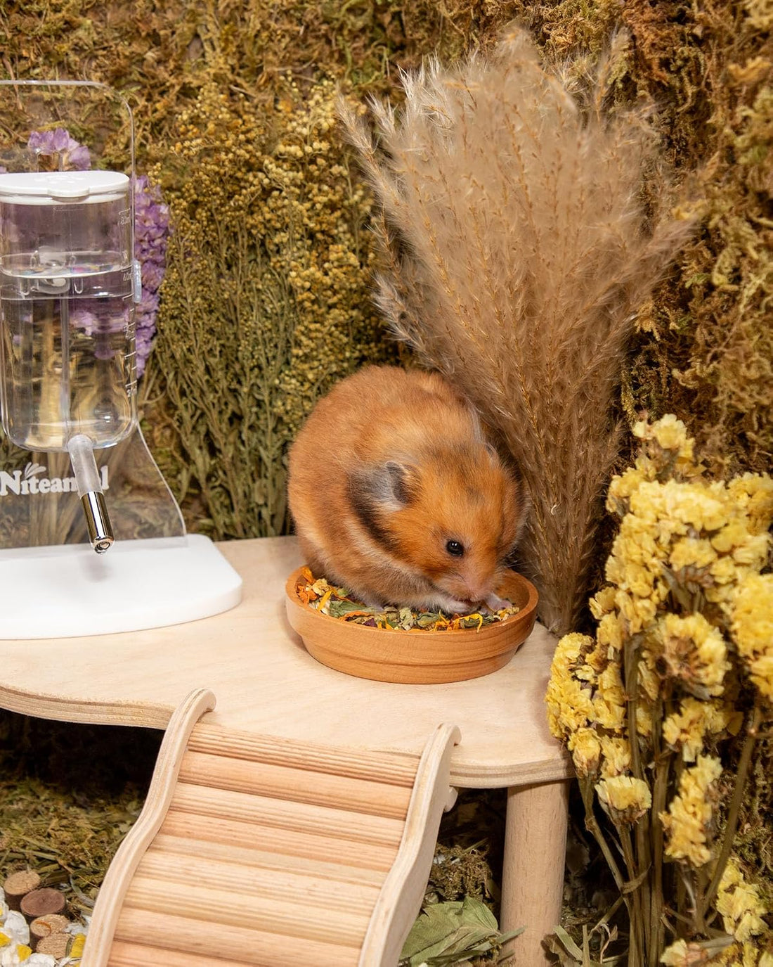 Niteangel Nature Golden Hamster Food