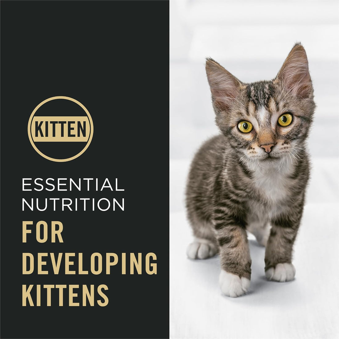 Purina Pro Plan Complete Essentials Kitten Food, Chicken & Rice