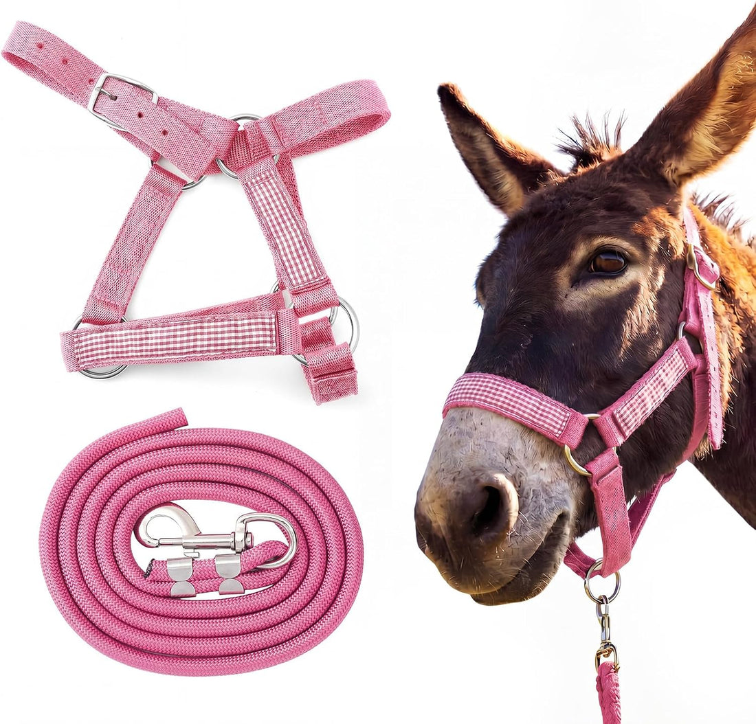 1 Set Mini Donkey Halter with Lead Rope Adjust