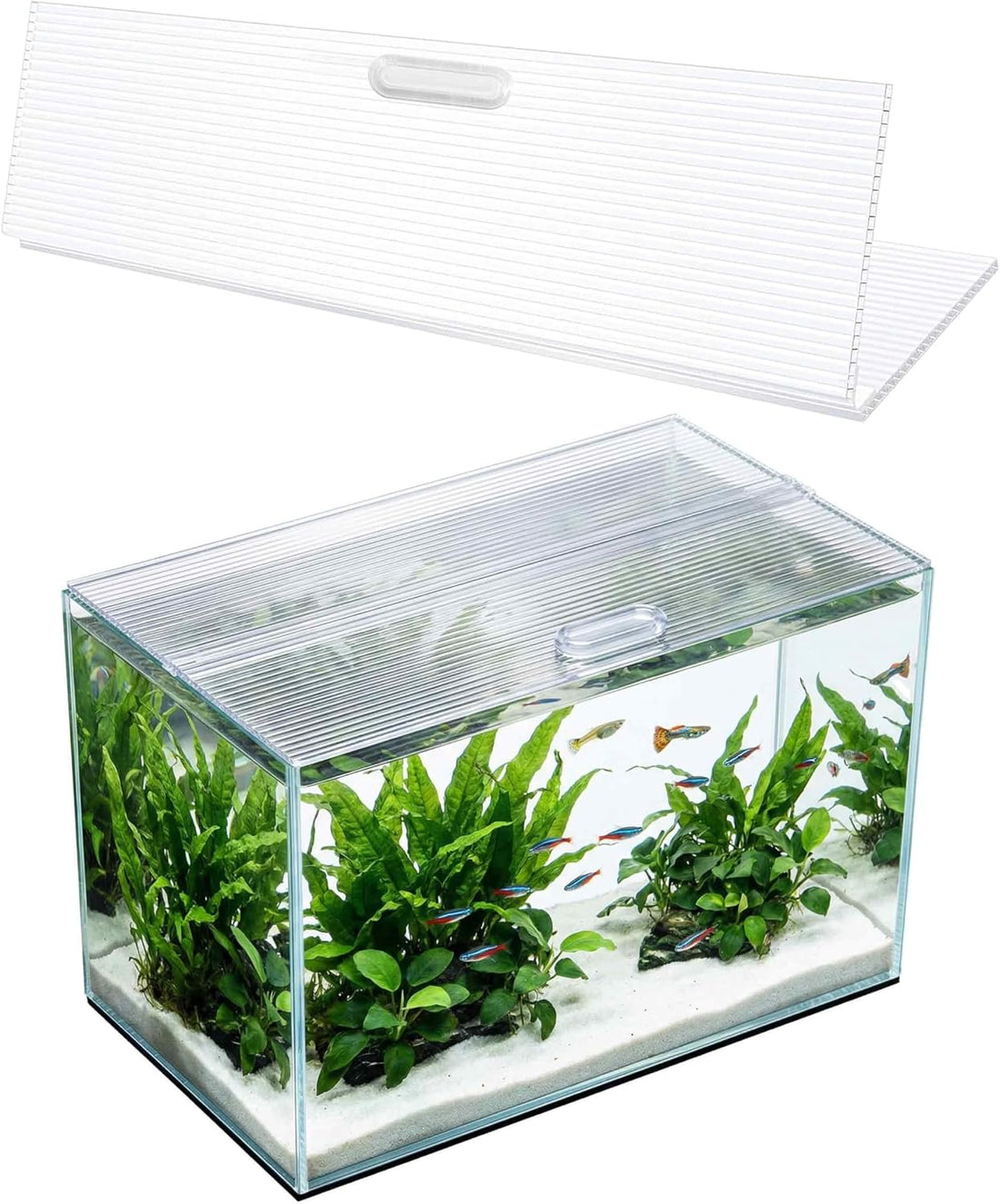 Aquarium Canop Polycarbonate 15.37 x 7.63 x 0.24 for 5/10 Gallon