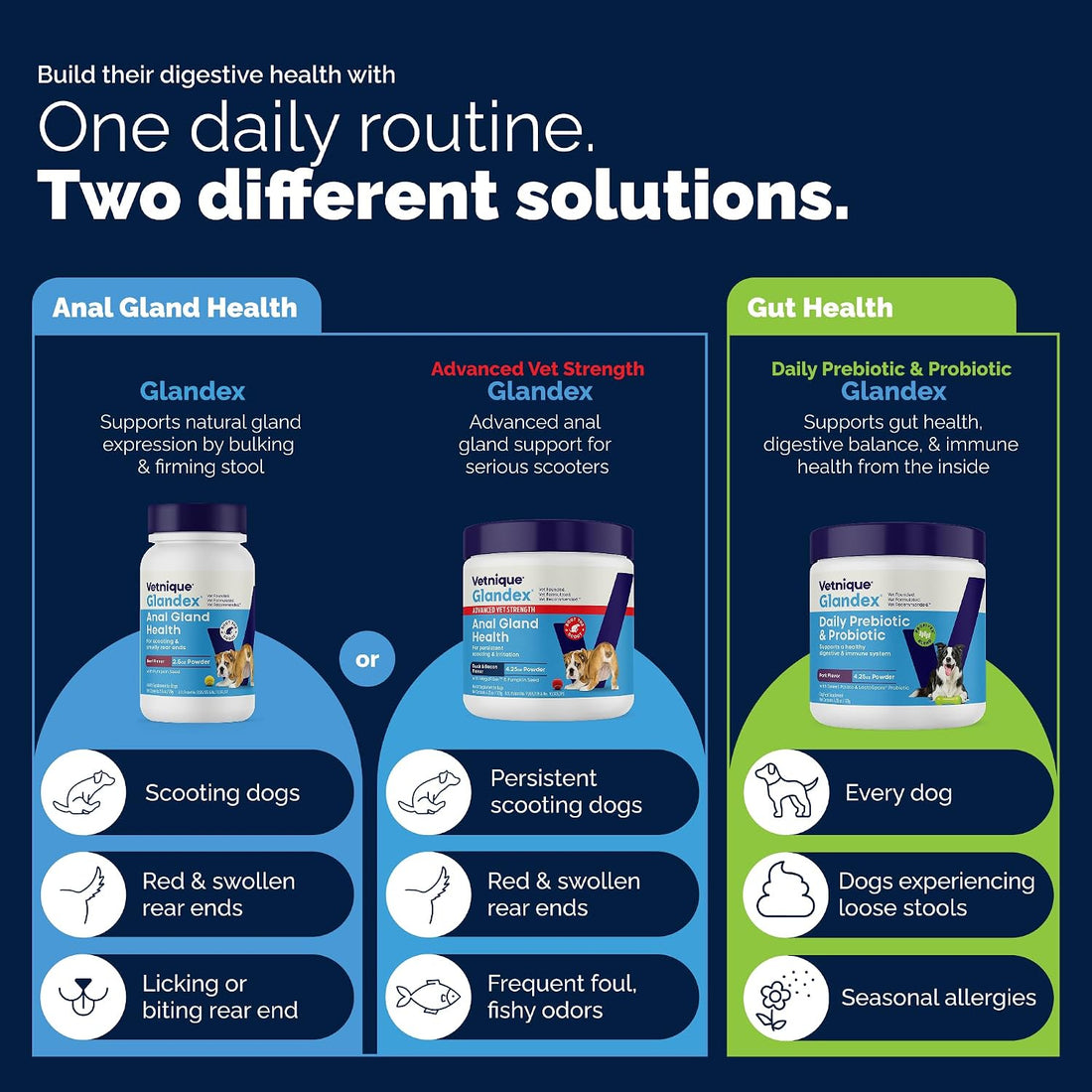 Vetnique Glandex for Dogs Anal Gland Powder